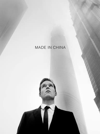 Made in China poster