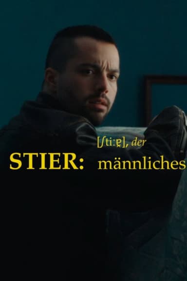 Stier poster