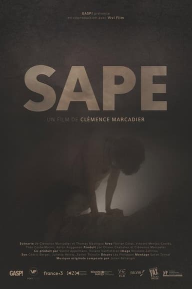 Sape poster