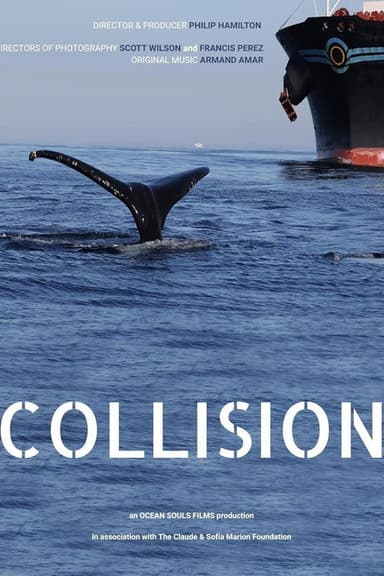 Collision poster