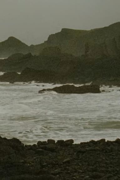 Devon poster