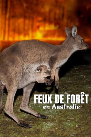 Bushfire Animal Rescue poster