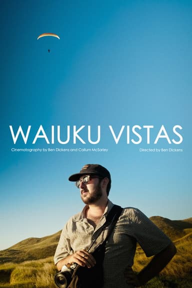 Waiuku Vistas poster