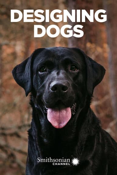 Designing Dogs poster