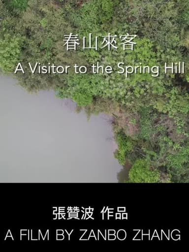 A Visitor to the Spring Hill poster