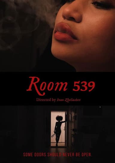 Room 539 poster