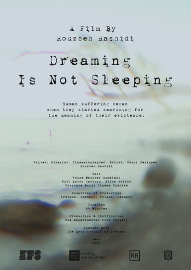 Dreaming Is Not Sleeping poster