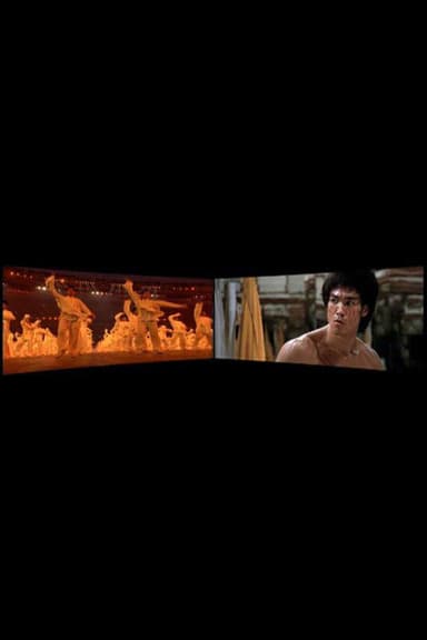 Enter the Dragon 1973-2008 poster