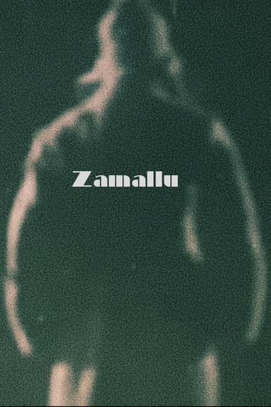 Zamallu poster