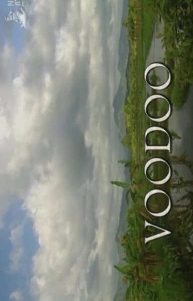 Voodoo poster