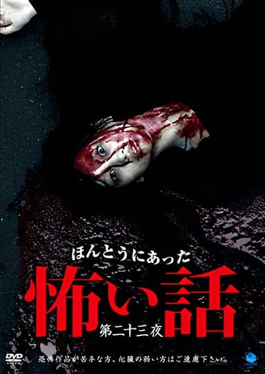 Scary True Stories: Night 23 poster