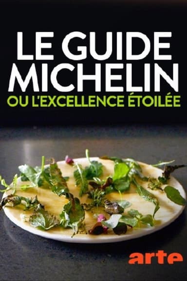 Le guide Michelin ou l'excellence étoilée poster