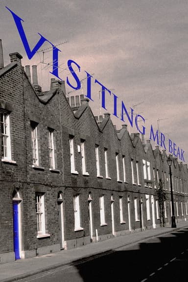 Visiting Mr Beak poster