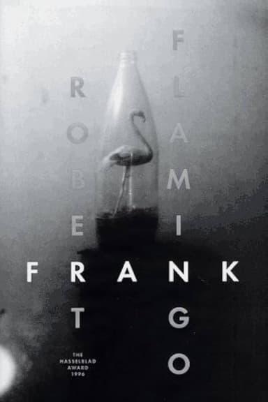 Flamingo poster
