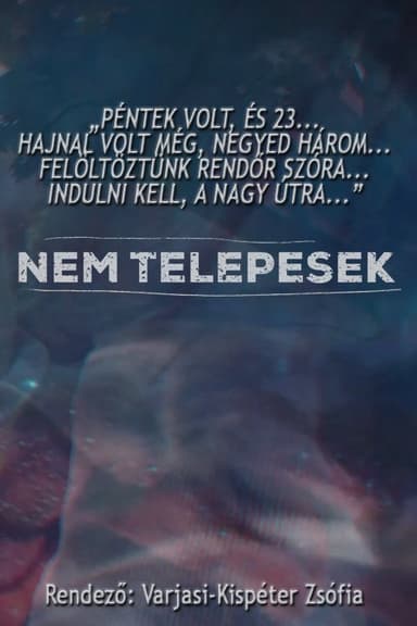 Not Settlers poster