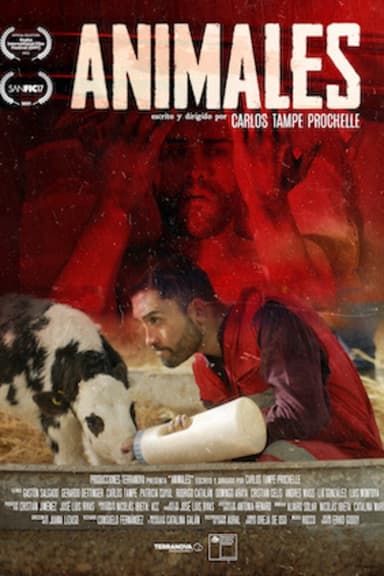 Animales poster