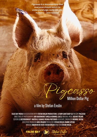 Pigcasso: Million Dollar Pig poster