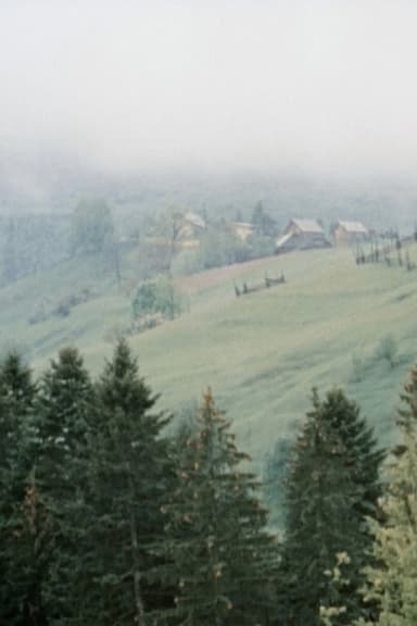 I See You, Bukovina poster