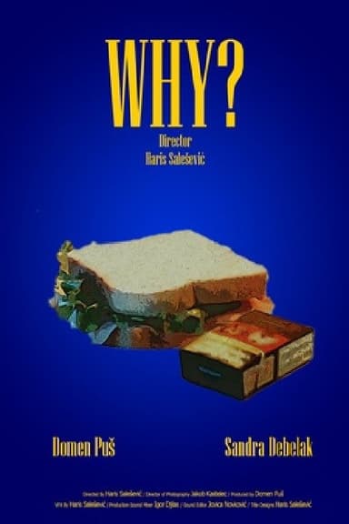 Why? poster