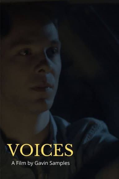 Voices poster