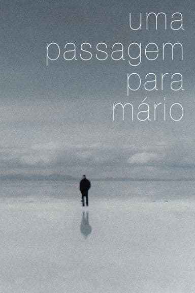 A Journey for Mário poster