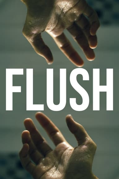 FLUSH poster