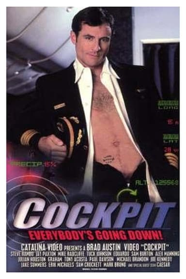Cockpit poster