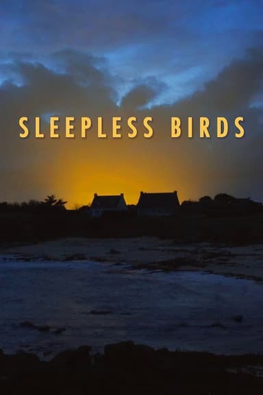 Sleepless Birds poster