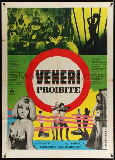 Forbidden Beauties poster