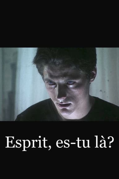 Esprit, es-tu là? poster