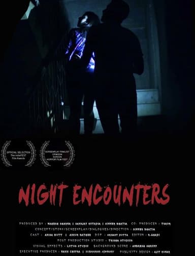 Night Encounters poster