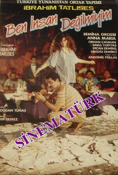 Ben İnsan Değil miyim? poster