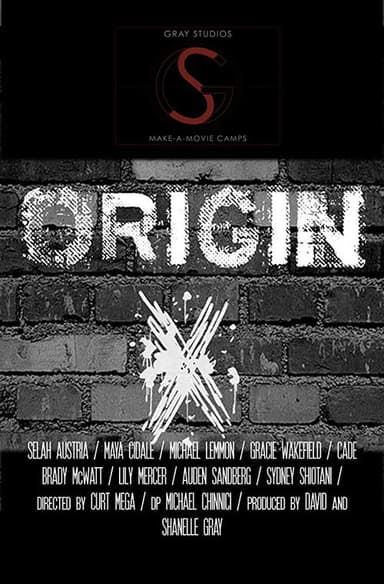 Origin X poster