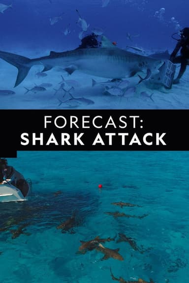 Forecast Shark Attack poster