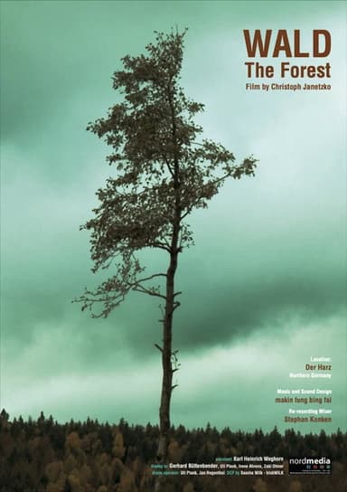 WALD - The Forest poster