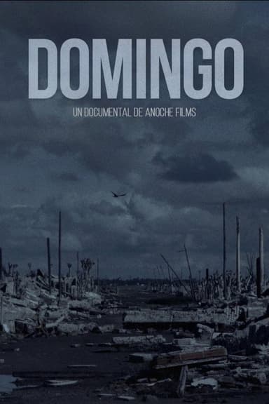 Domingo poster