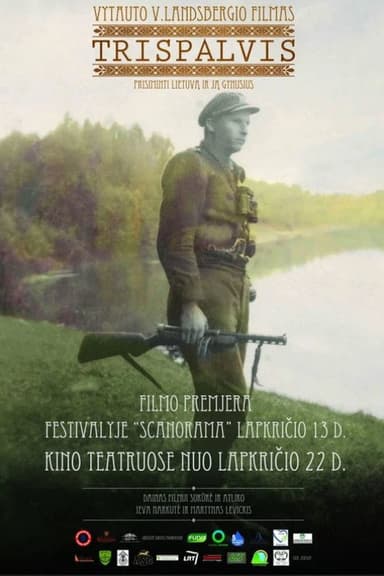 Tricolour poster