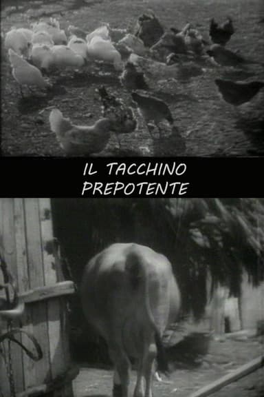 Il tacchino prepotente poster