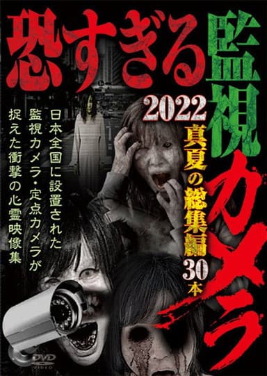 Extremely Scary Surveillance Camera 2022: Midsummer Compilation - 30 Clips poster