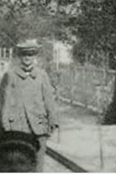 Panorama of the Moving Boardwalk poster