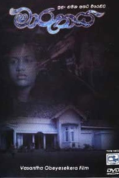 The Storm poster