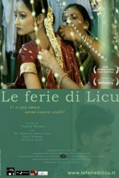 Licu's holidays poster