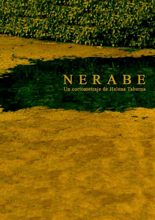 Nerabe poster