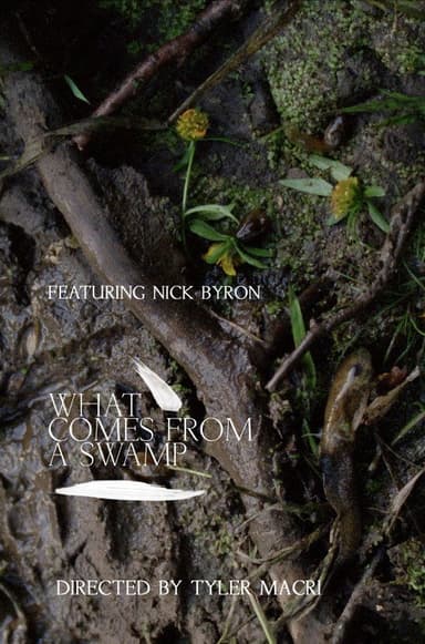 What Comes from a Swamp poster