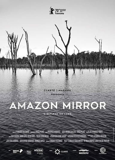 Amazon Mirror poster