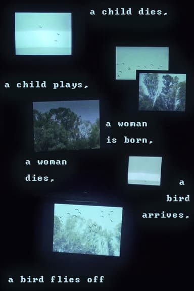 A child dies, a child plays, a woman is born, a woman dies, a bird arrives, a bird flies off poster
