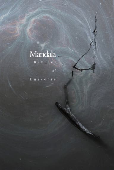 Rivulet of Universe poster