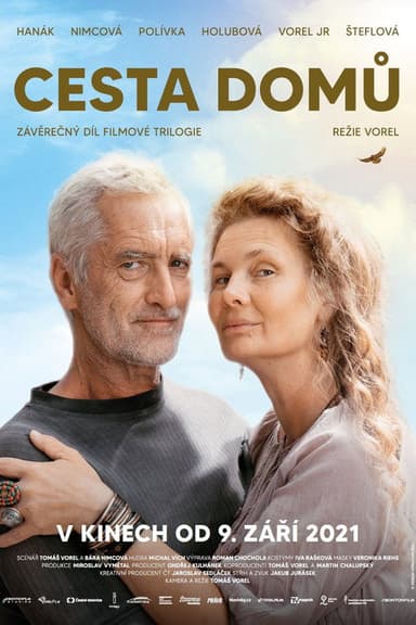 Way Home poster