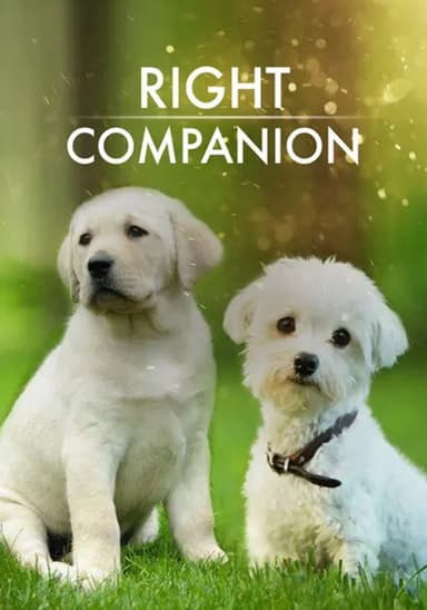 The Right Companion poster