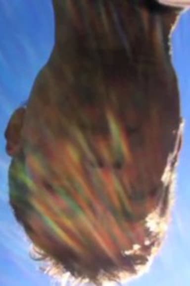 play god poster
